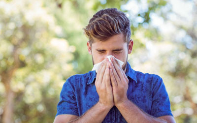 What’s the Difference Between Dry Eye Syndrome And Seasonal Allergies?